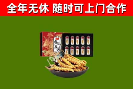 利州区烟酒回收冬虫夏草礼盒.jpg