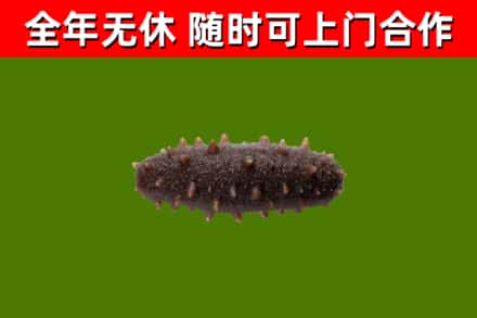 利州区烟酒回收干海参.jpg